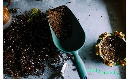 Planifica tu jardín para la primavera