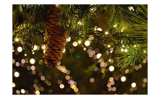 Luces de Navidad para el hogar