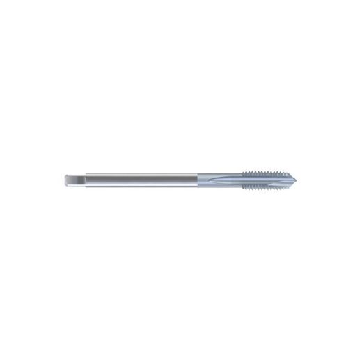 2125-MACHO HSSE-PM TICN DIN376/B M24*300 6H