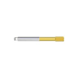 2213-MACHO LAM RAN HSSE-PM TIN DIN374/C M10*100 6HX