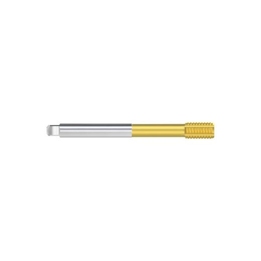 2213-MACHO LAM RAN HSSE-PM TIN DIN376/C M10*150 6HX