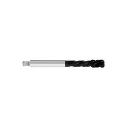 2261-MACHO HSSEPM HL DIN376/C SYNCR45 M14*200 6HX(F EX