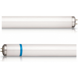 ACTINIC BL TL-D 15W/10 SECURA 1SL/25