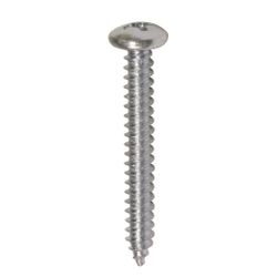 Amig 19402 | tornillo rosca chapa cabeza alomada | ø4,8 x 38 mm | acero | zincado