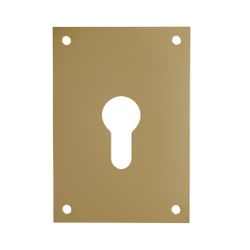 Amig 25973 | placa europerfil pe01 | 100 x 70 x 1 mm | acero inoxidable 18/8 | latonado mate
