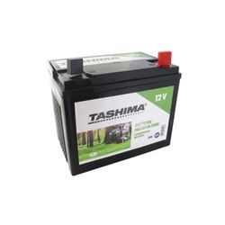 BATERIA CON MANTENIMIENTO 12V 28A