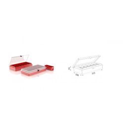 CAJA DE PLASTICO 315X110X45