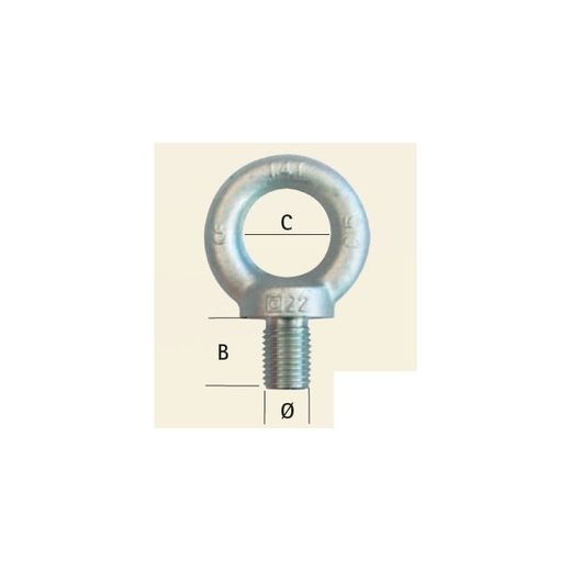 CANCAMO MACHO DIN580 M-30 ZINC