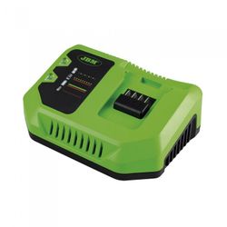CARGADOR RAPIDO 20V
