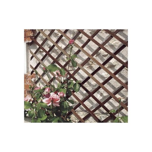 CELOSIA MADERA TRELLIWOOD 0,5X1,5M NT X12