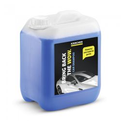 CHAMPU PARA COCHES RM619** 5L