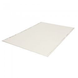 CHAPA TRASERA 1000x500 BLANCO