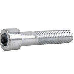 DIN-912 8.8 ZN. M10X100