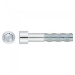 DIN-912 8.8 ZN. M6X100