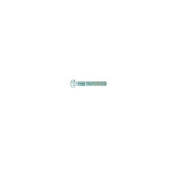 DIN-933 8.8 ZN. M10X55