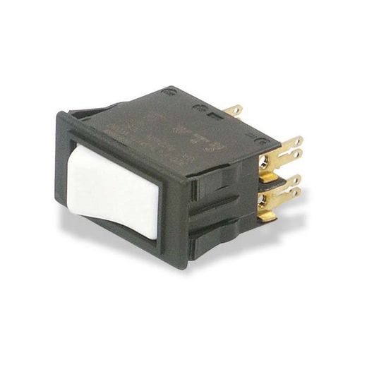 DISYUNTOR CIRCUITO MOTOR 2 FASES 10A