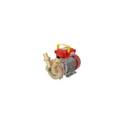ELECTROBOMBA ROVER-30 230V MONOFASICA