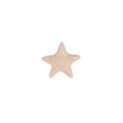 ESTRELLA MAR 20x19x2CM AURA STELA BID
