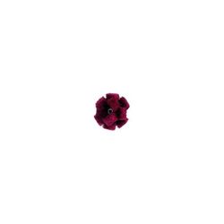 ESTRELLA POLINOX PNST 50-2 A 80