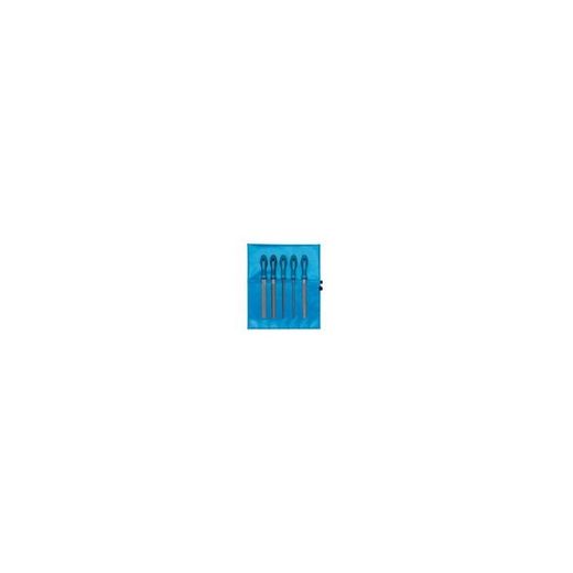 ESTUCHE DE LIMAS TALLER 542 WR C2 250 MM