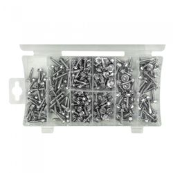 ESTUCHE DE TORNILLOS AUTORROSCANTES (200PCS)