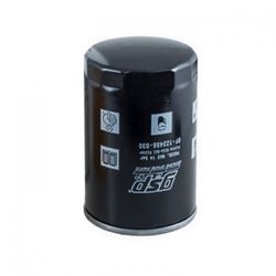 FILTRO ACEITE RSX5.5-20