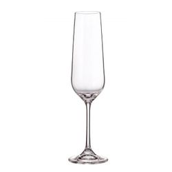 FIORA TORI TITANIUM COPA 210ml CHAMPAN BOHEMIA