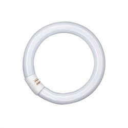 FLUORESCENTE CIRCULAR T9 22W/865