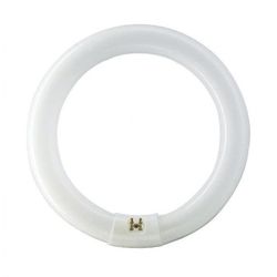 FLUORESCENTE CIRCULAR TL-E 40W/865