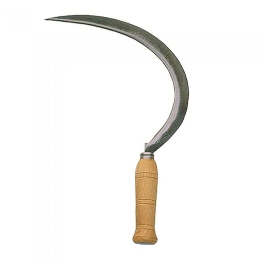 HOZ DENTADA 25502N