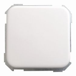 INTERRUPTOR BLANCO
