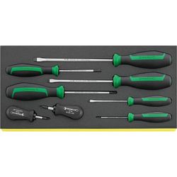 JUEGO DE DESTORNILLADORES EN BANDEJA TCS TCS 4620-4737/8