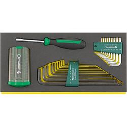 JUEGO HERRAMIENTAS, SISTEMA BANDEJAS TOOL CONTROL TCS 1201/4000/10766/38