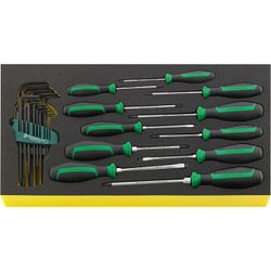 JUEGO HERRAMIENTAS, SISTEMA BANDEJAS TOOL CONTROL TCS WT 4622-4650-1