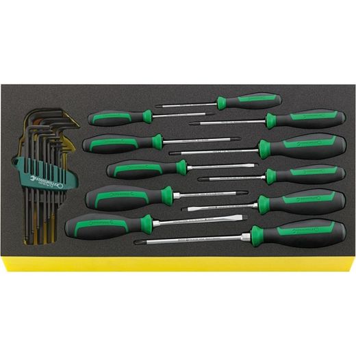 JUEGO HERRAMIENTAS, SISTEMA BANDEJAS TOOL CONTROL TCS WT 4622-4650-1