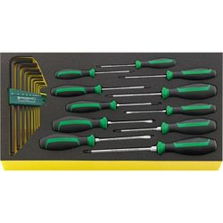 JUEGO HERRAMIENTAS, SISTEMA BANDEJAS TOOL CONTROL TCS WT 4622-4650