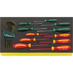JUEGO HERRAMIENTAS, SISTEMA BANDEJAS TOOL CONTROL TCS WT 4650-4665