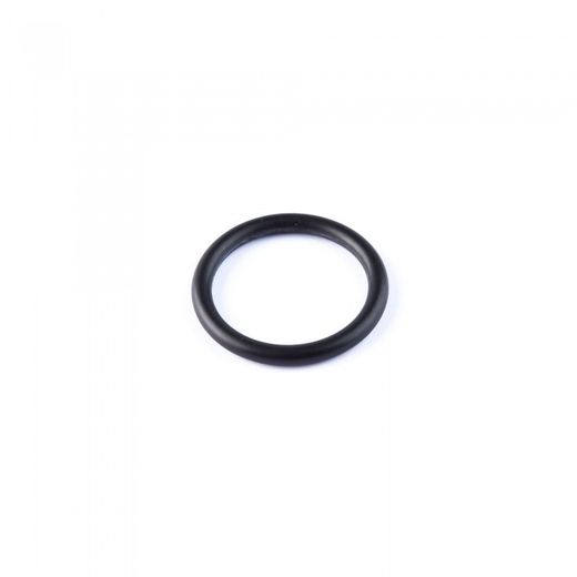 JUNTA TORICA AN-29 40,65X5,33MM.(100)