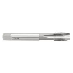 MACHO MAQUINA RECTO HSSE DIN5156 (GAS-BSP) GUN-3106-0,01/04X19