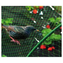 MALLA ANTIPAJAROS BIRDNET (5019) 8X10M NE X6
