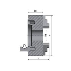 PLATO 3 GARRAS 250MM DI-6 CAMLOCK 1-6