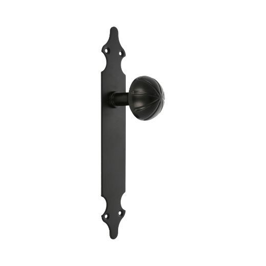 Amig 6133 | pomo puerta con placa 18 | 280 x 45 x 2 mm | placa de acero, pomo de zamak | negro