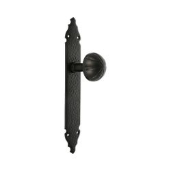 Amig 6433 | pomo puerta con placa 19 | 280 x 45 x 2 mm | placa de acero, pomo de zamak | negro