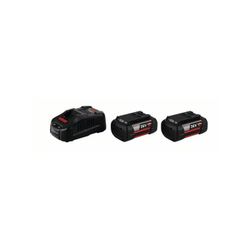 POWER SET 36 V 6,0 AH PROFESSIONAL