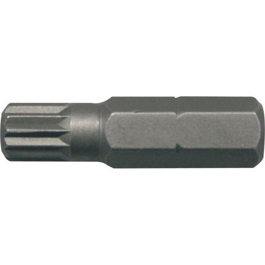 PUNTA XZN M10 MASTERBIT