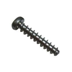 SCREW 22