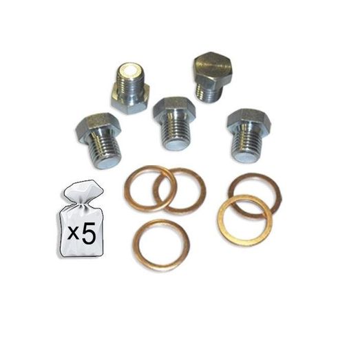 SET DE REPUESTOS REPARACION CARTER M17X1.5P