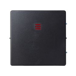 TECLA INTERRUPTOR CON VISOR GRAFITO