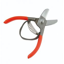 TIJERA PARA CITRICOS