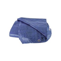 TOLDO PLASTICO 70 GRAMOS 2X3 MTS. AZUL